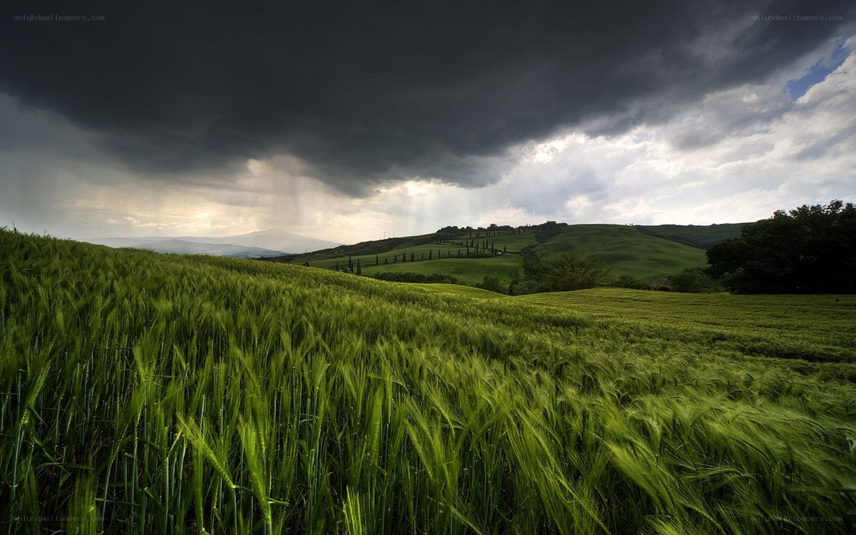 Green field under stormy sky