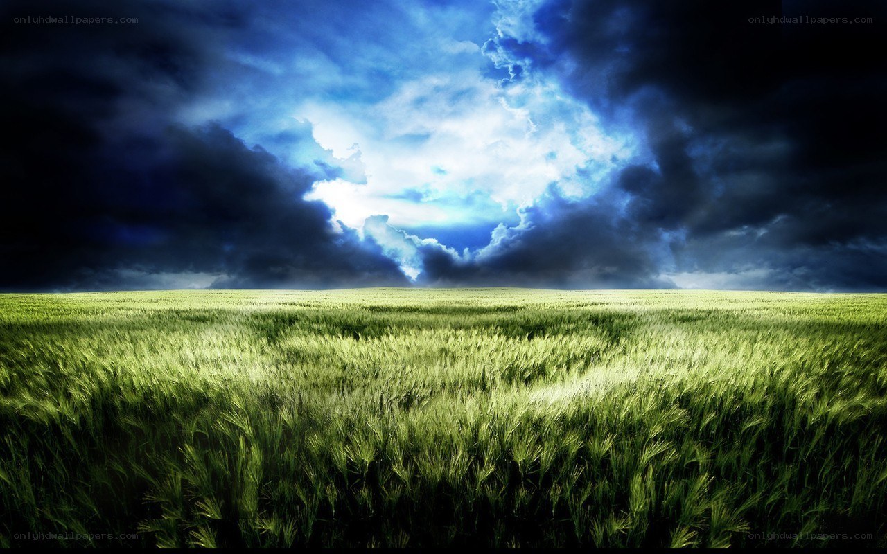 Green field under stormy sky