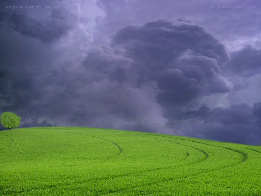 Green field under stormy sky