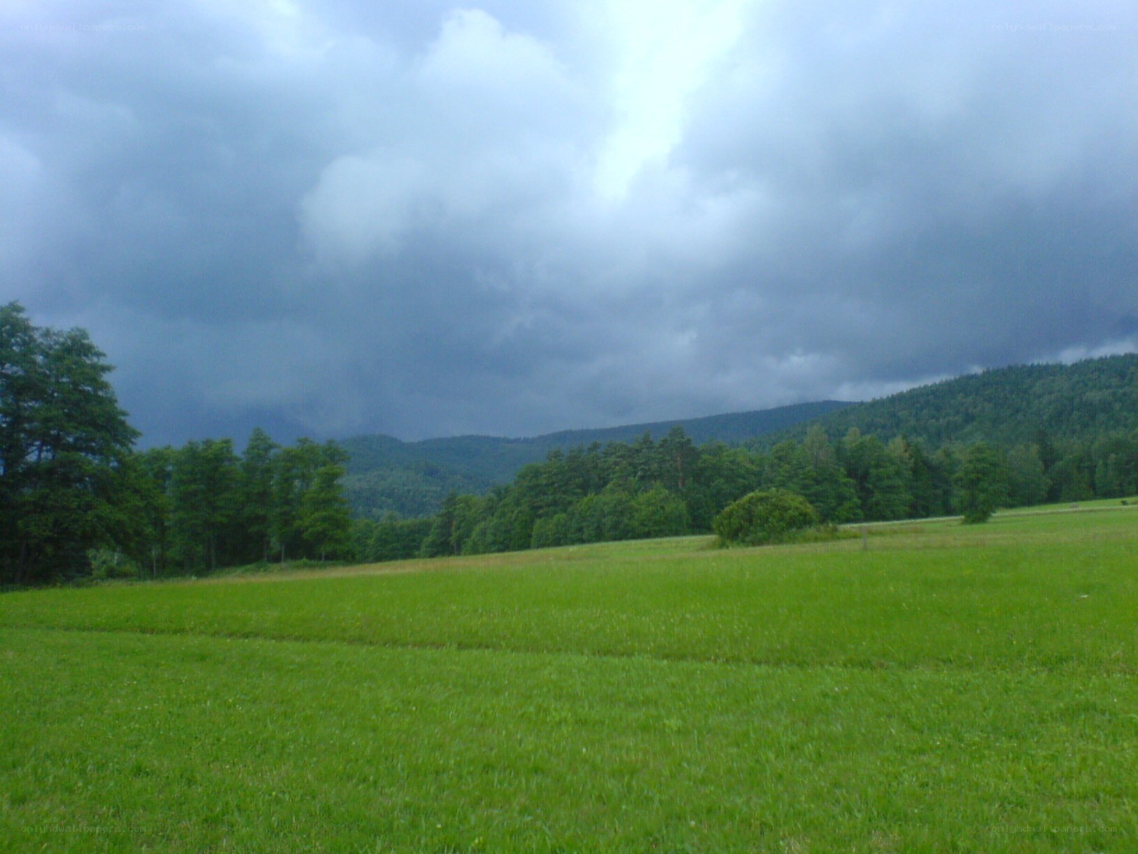 Green field under stormy sky