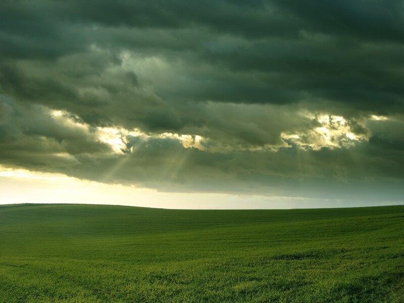 Green field under stormy sky