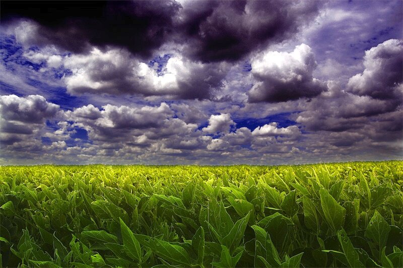 Green field under stormy sky
