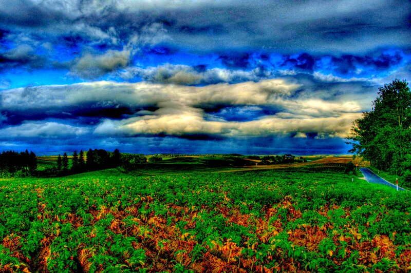 Green Field under Stormy Sky — Blue