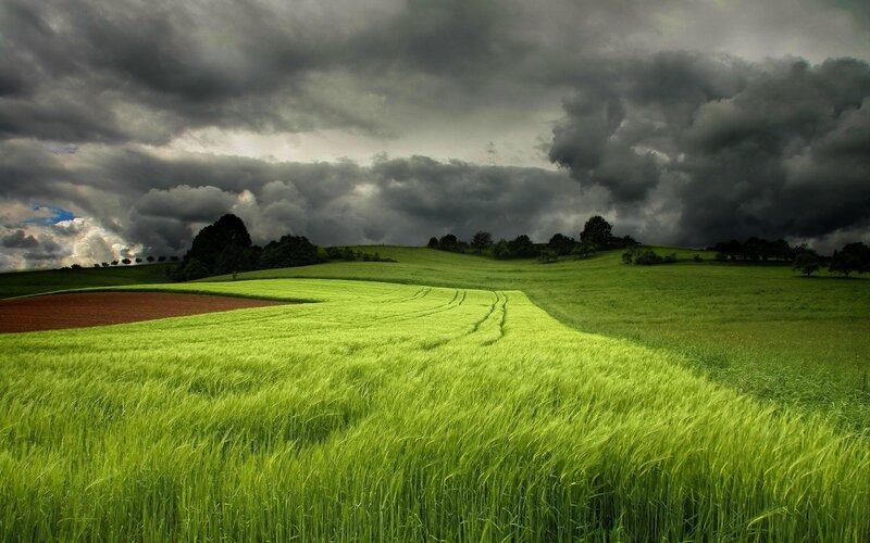Green Field under Stormy Sky — Dramatic, Afternoon, Photograph, Clouds, Trees