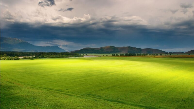Green Field under Stormy Sky — Dramatic, Afternoon, Photograph