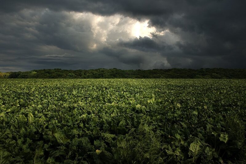 Green Field under Stormy Sky — Dramatic, Afternoon, Photograph, Trees, Clouds