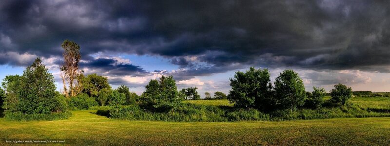 Green Field under Stormy Sky — Dramatic, Afternoon, Photograph, Trees