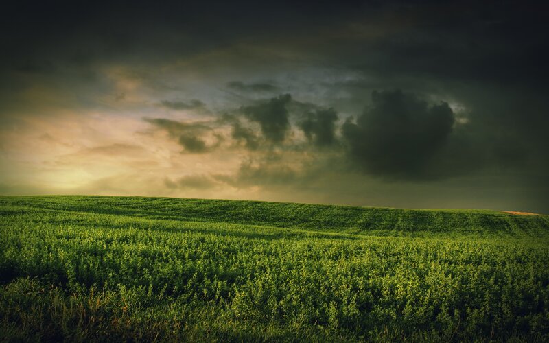 Green Field under Stormy Sky — Dramatic, Clouds
