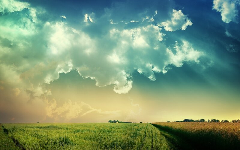 Green Field under Stormy Sky — Dramatic, Evening