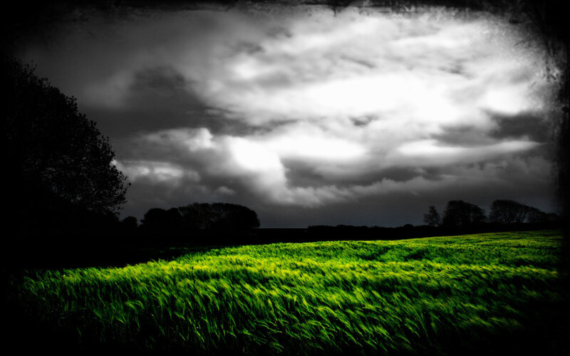 Green Field under Stormy Sky — Dramatic, Night