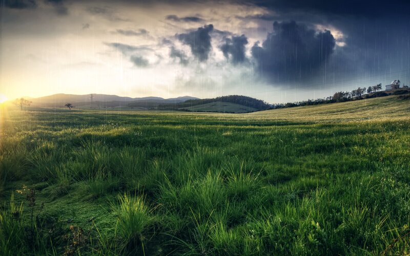 Green Field under Stormy Sky — Dramatic, Sunrise, Photograph, Rain, Mountains, Trees, Gray, Yellow