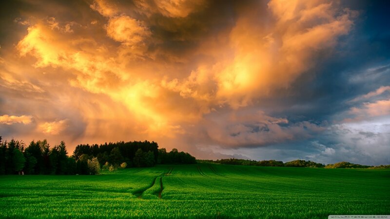 Green Field under Stormy Sky — Dramatic, Sunset, Photograph, Clouds, Trees
