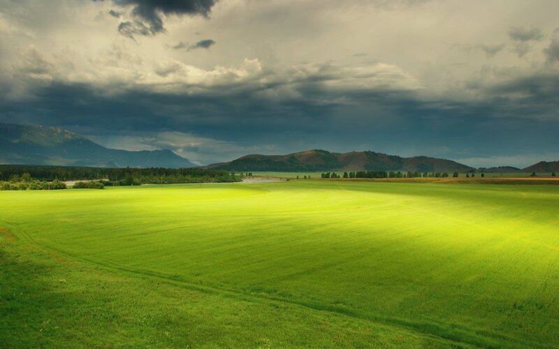 Green Field under Stormy Sky — Dramatic