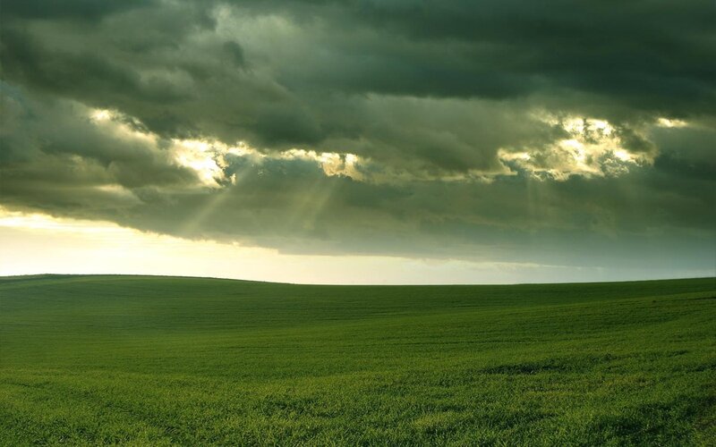 Green Field under Stormy Sky — Dramatic, Yellow