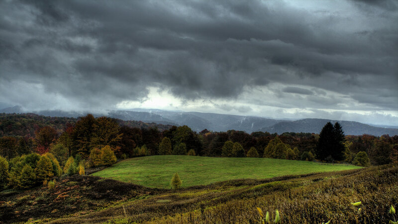 Green Field under Stormy Sky — Gray