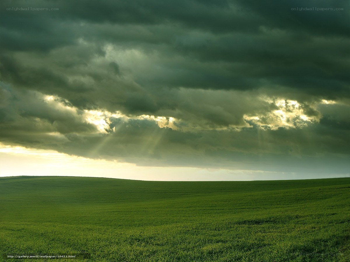 Green Field Under Stormy Sky