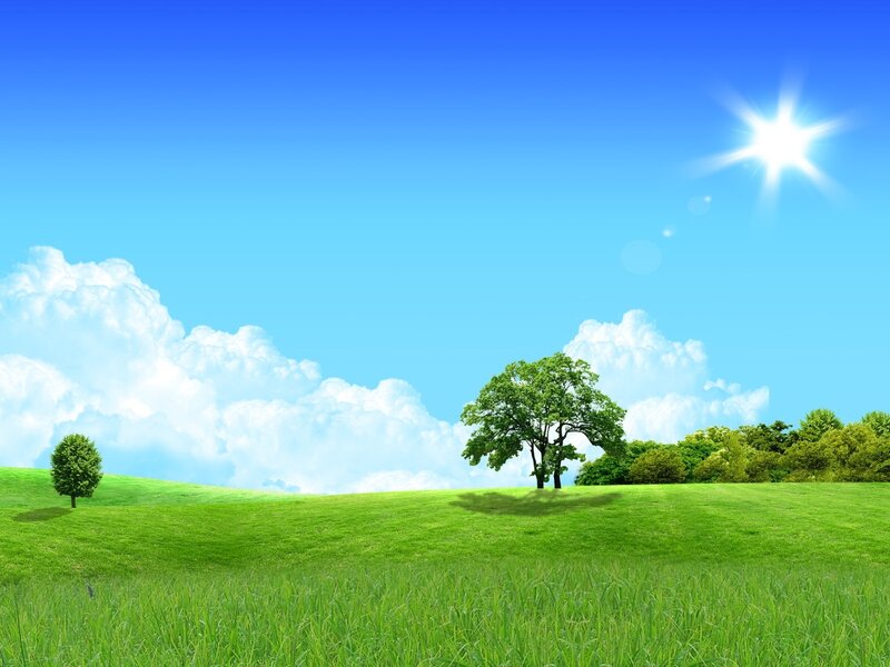 Green field under sunny sky