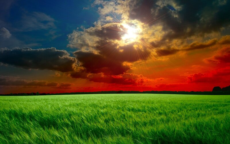 Green Field under Sunset — Dramatic, Photograph