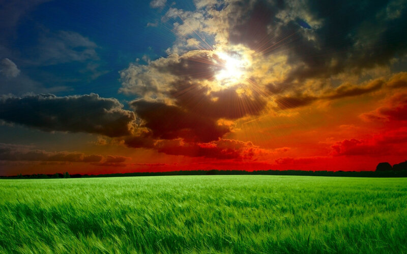 Green Field under Sunset Sky — Dramatic, Photograph, Sun