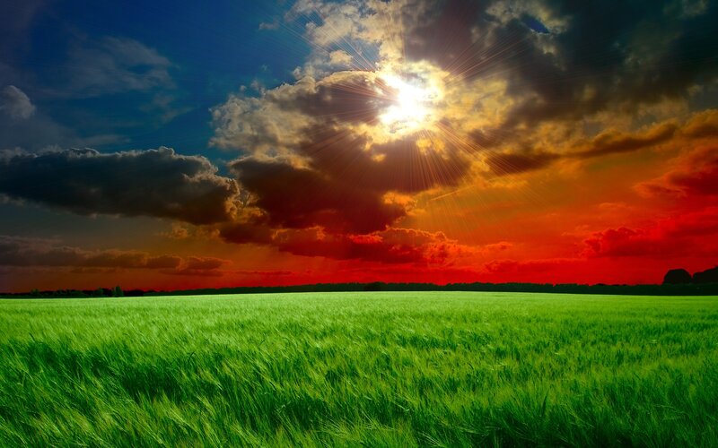 Green Field under Sunset Sky — Dramatic, Photograph