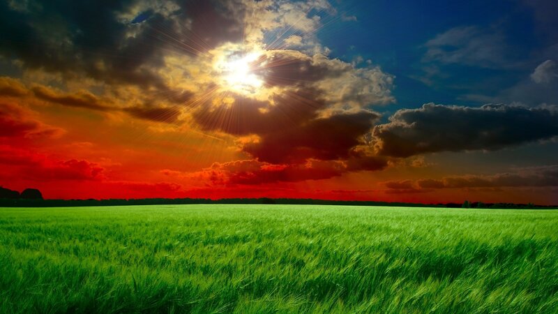Green Field under Sunset