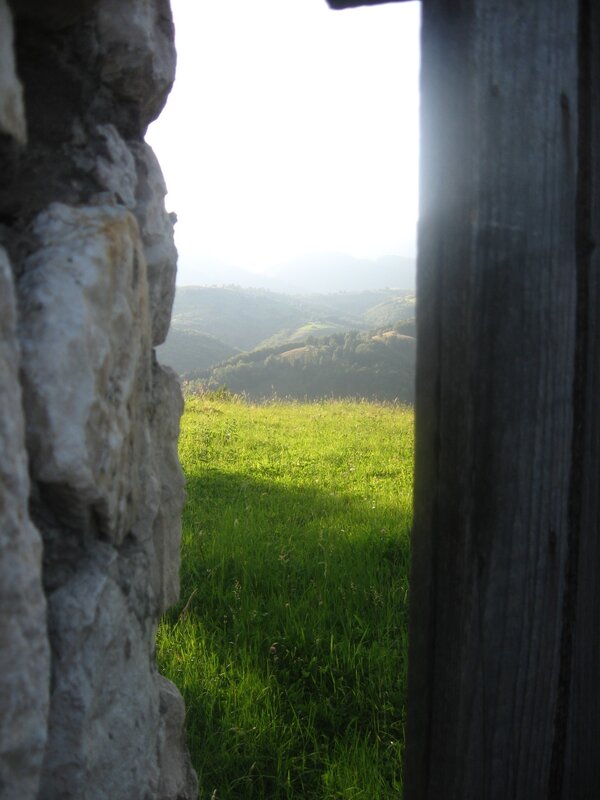 Green Field View