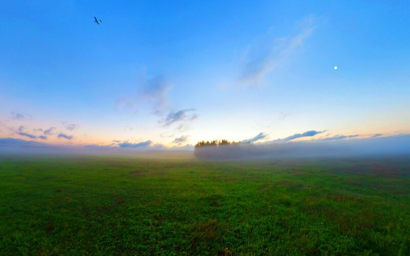 Green Field with Airplane