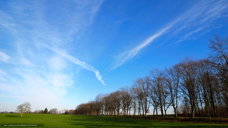 Green Field with Bare Trees — Blue