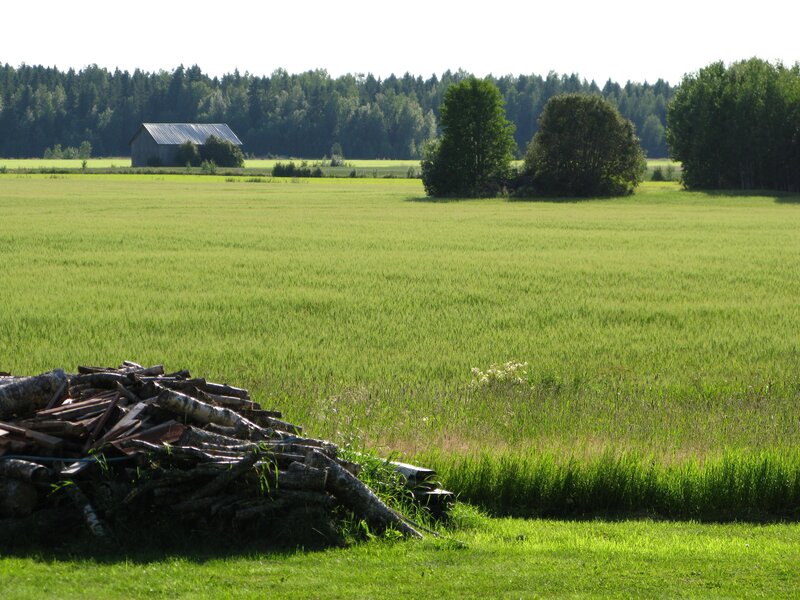 Green field with barn and logs