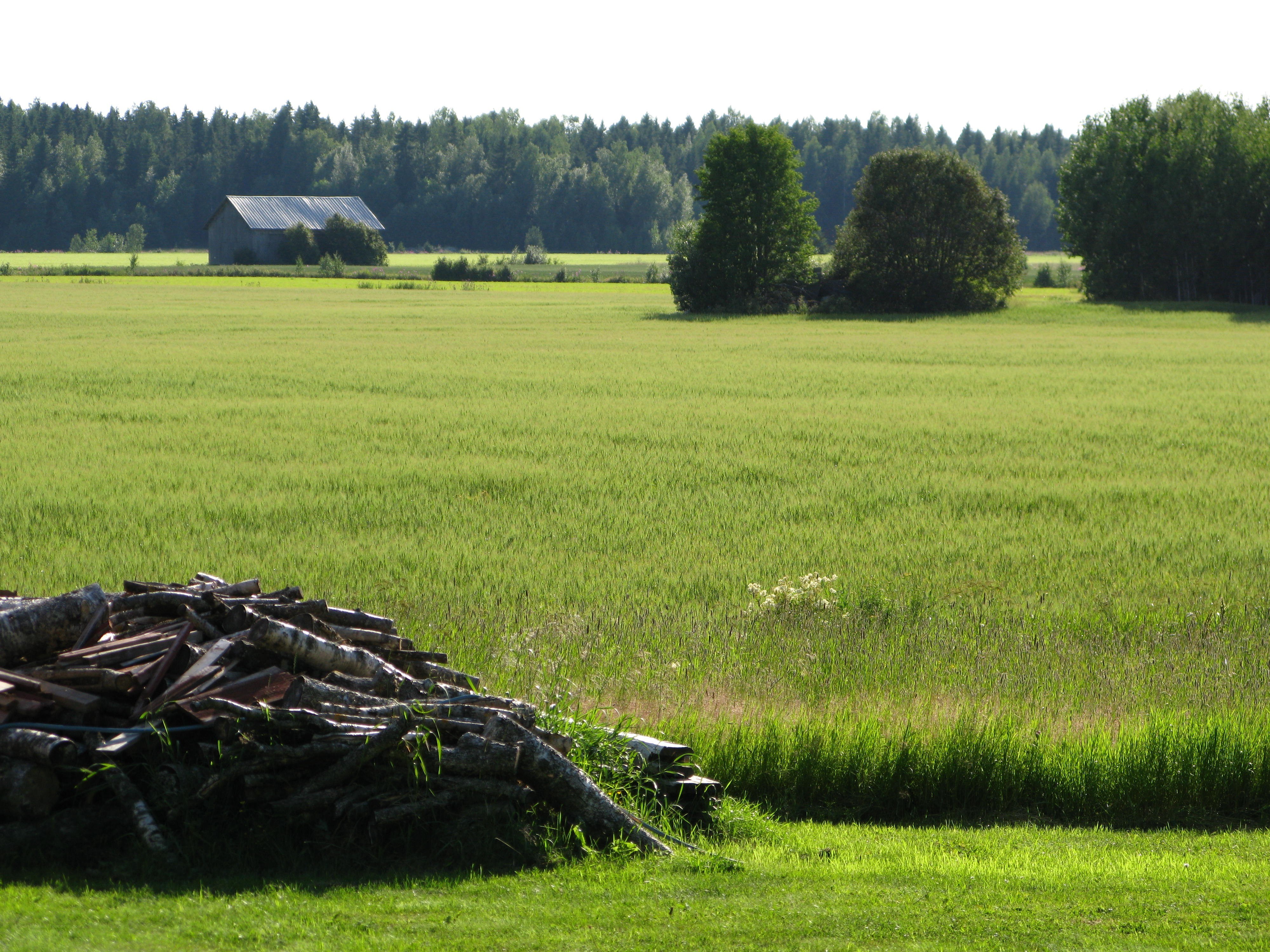 Green field with barn and logs