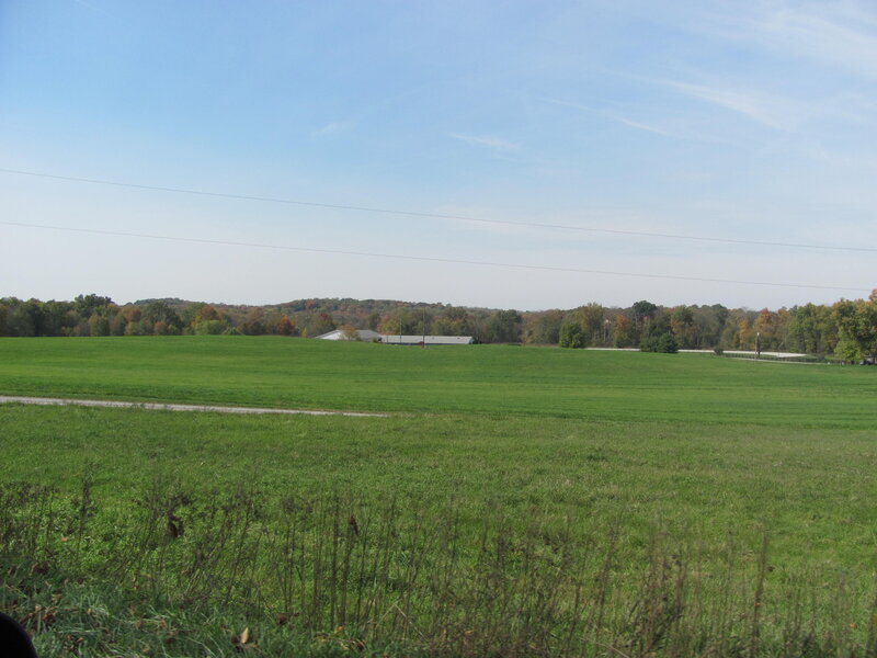 Green Field with Barn
