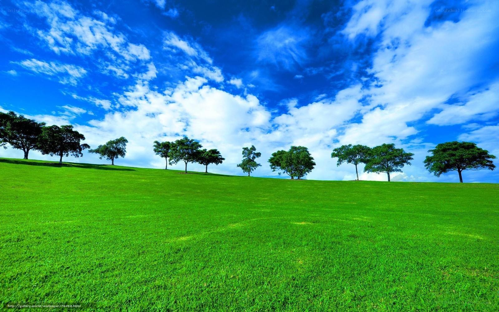 Green field with blue sky