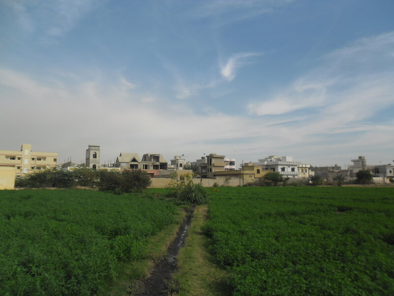 Green Field with Buildings