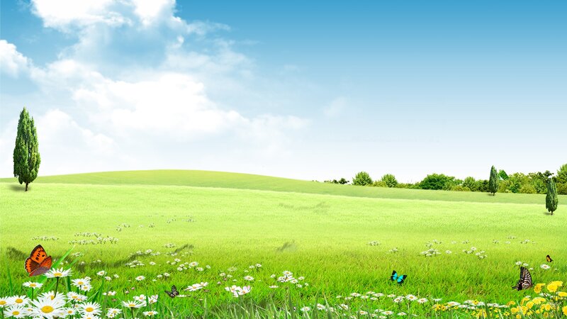Green Field with Butterflies