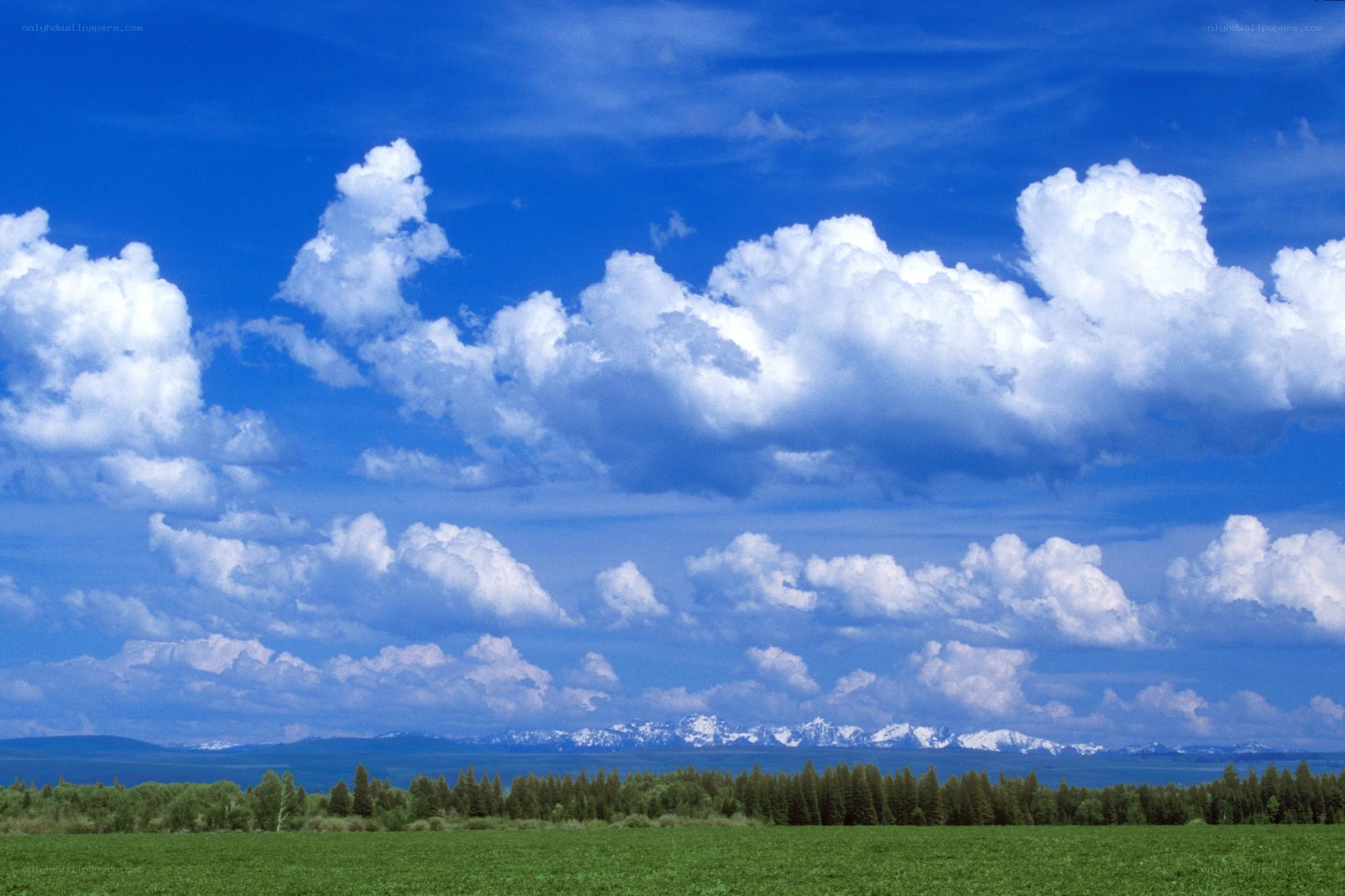 Green field with clouds and mountains