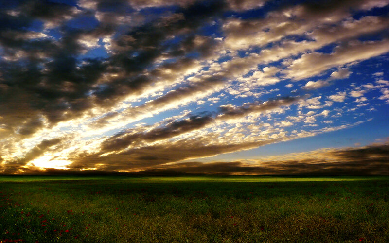 Green Field with Clouds — Blue, Dramatic, Sunset