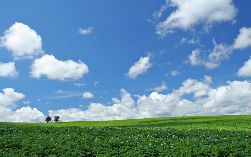Green Field with Clouds — Blue, Serene, Afternoon