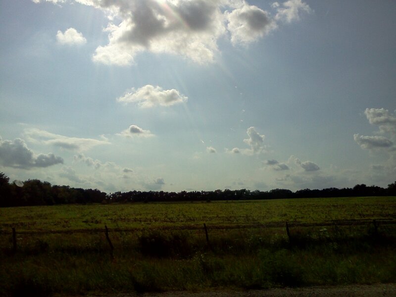 Green Field with Clouds — Serene, Afternoon