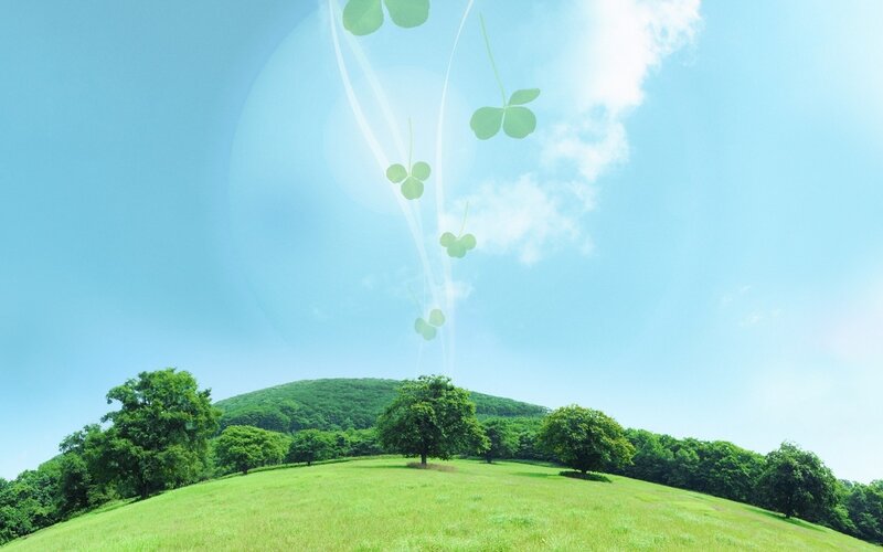 Green field with clovers