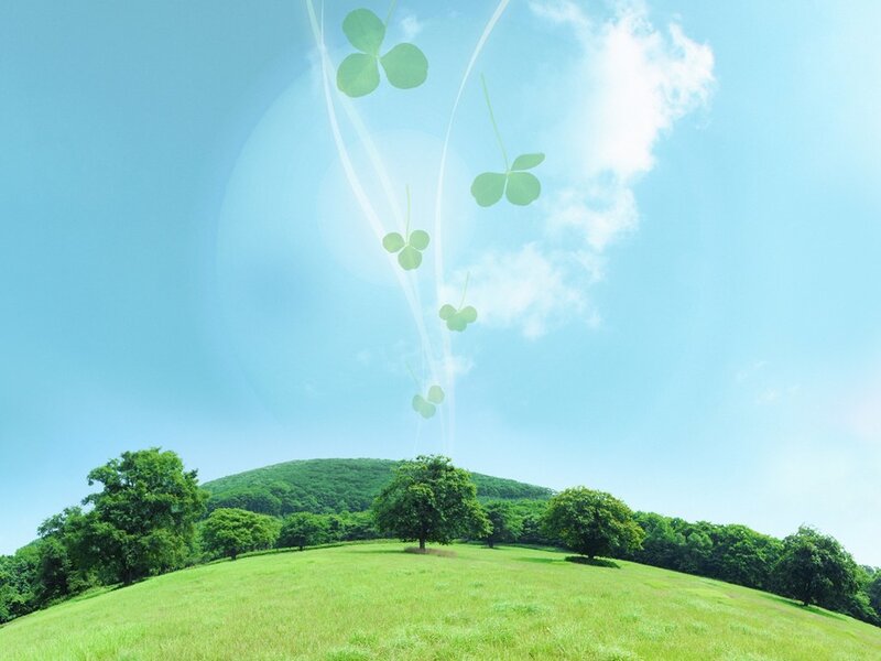 Green field with clovers