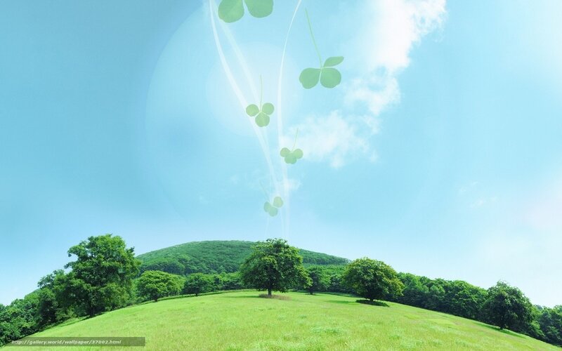 Green field with clovers