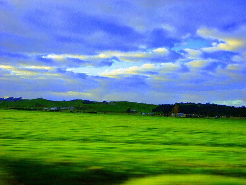 Green Field with Cows