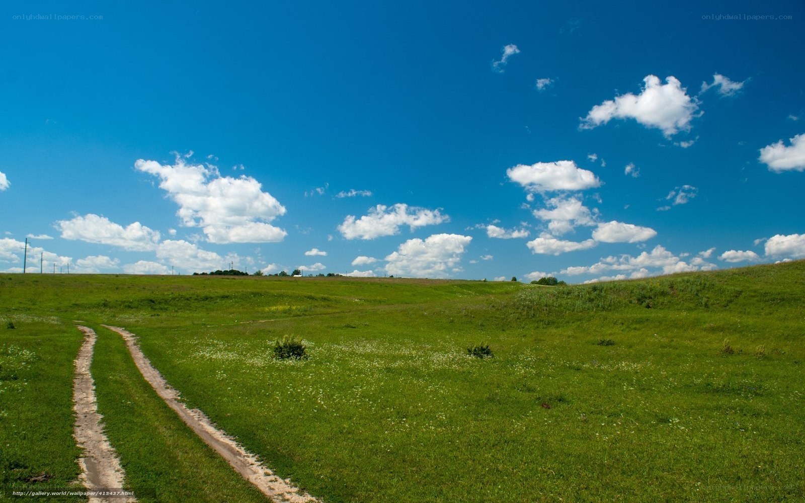 Green field with dirt path