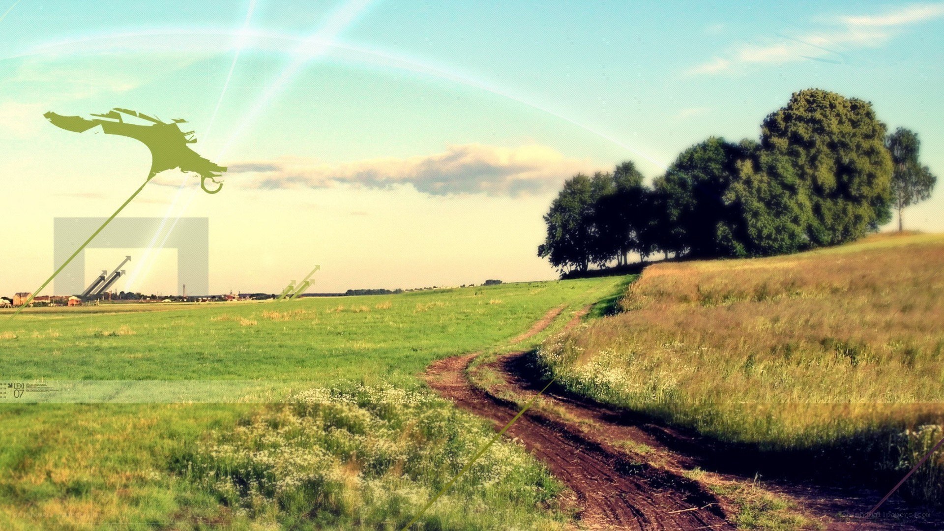 Green field with dirt path