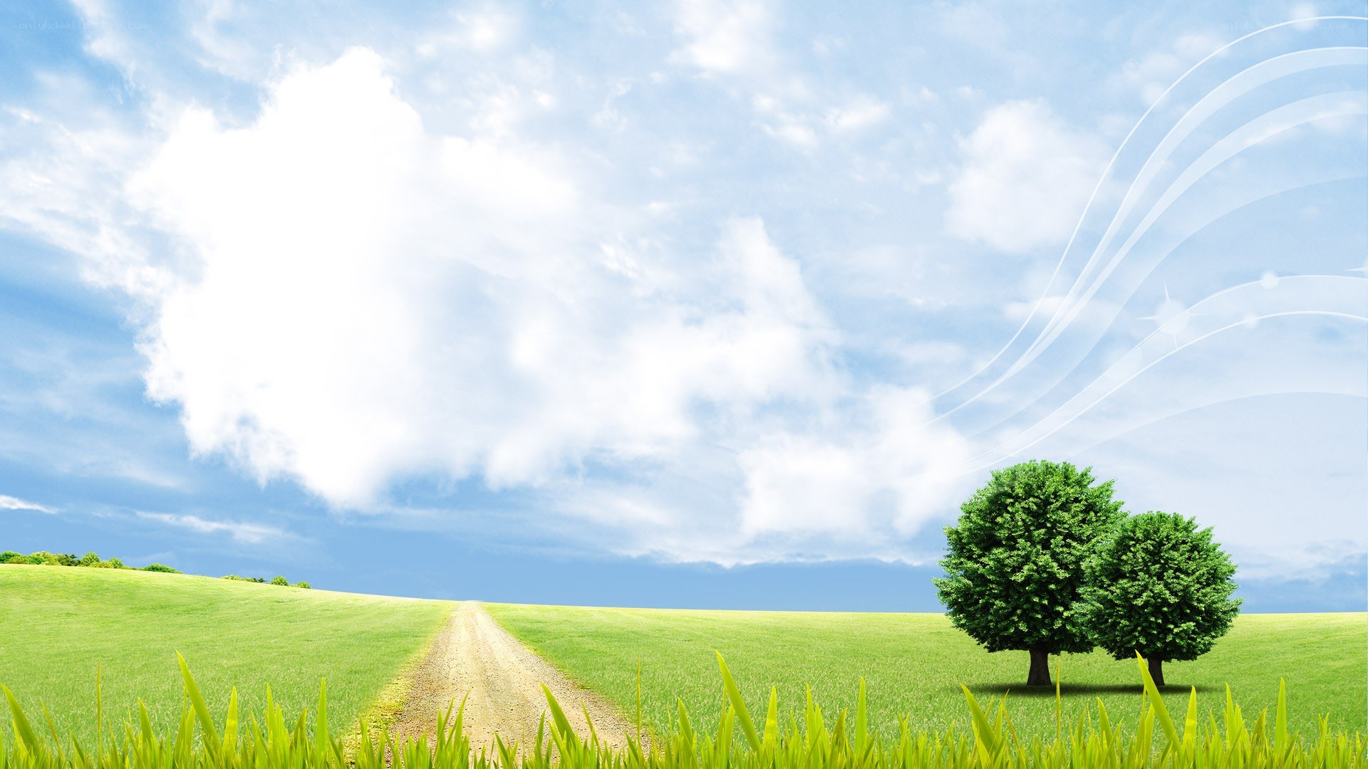 Green field with dirt path