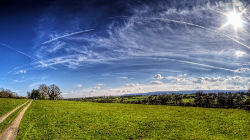 Green Field with Dirt Path — Serene