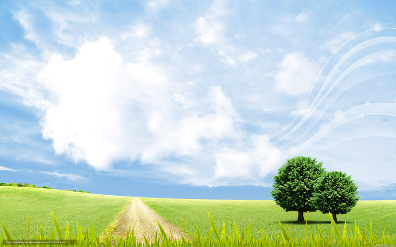 Green field with dirt path