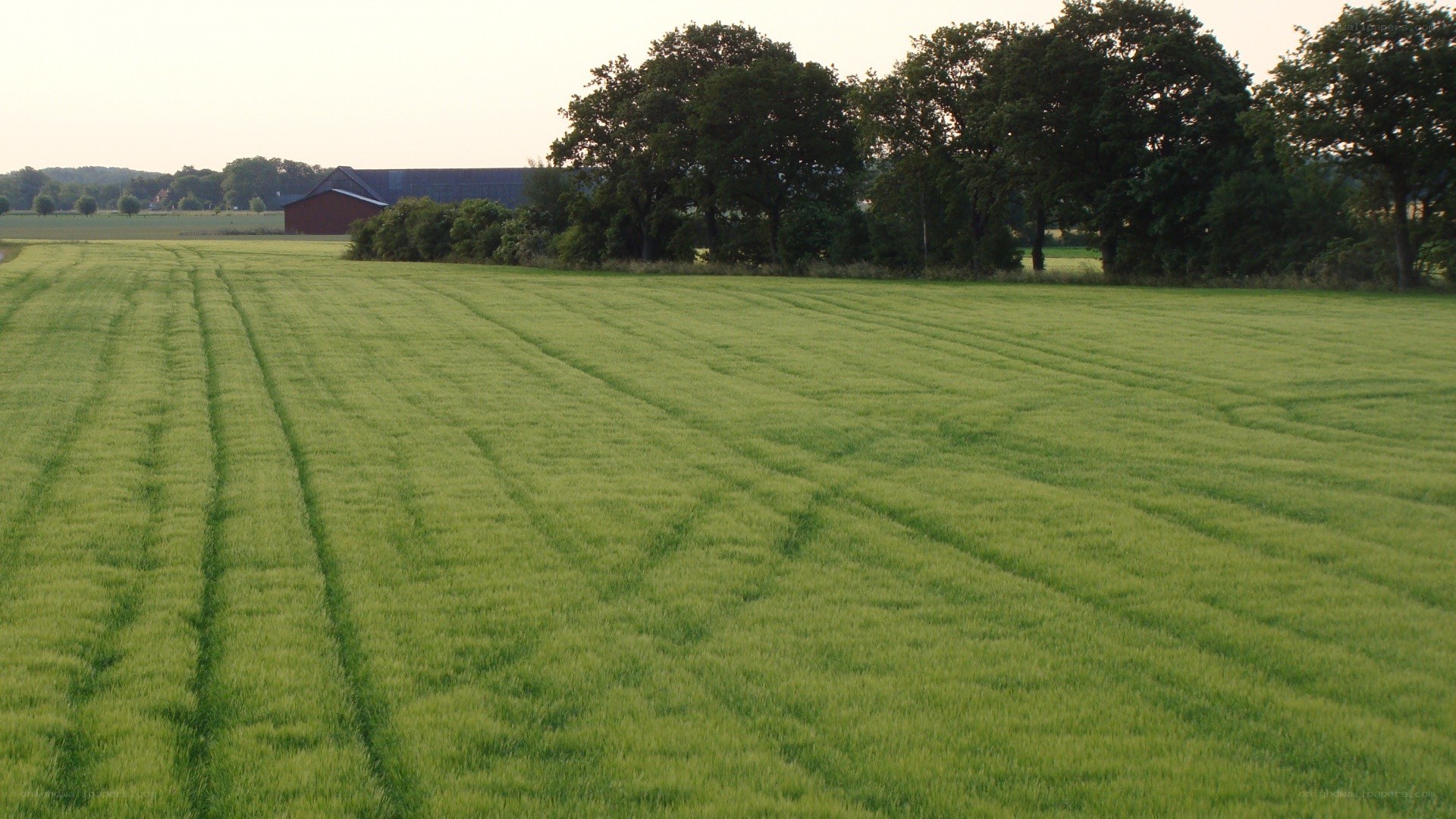 Green field with farm in background