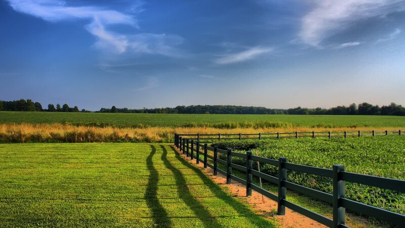 Green Field with Fence — Serene, Afternoon, Photograph, Sky, Blue