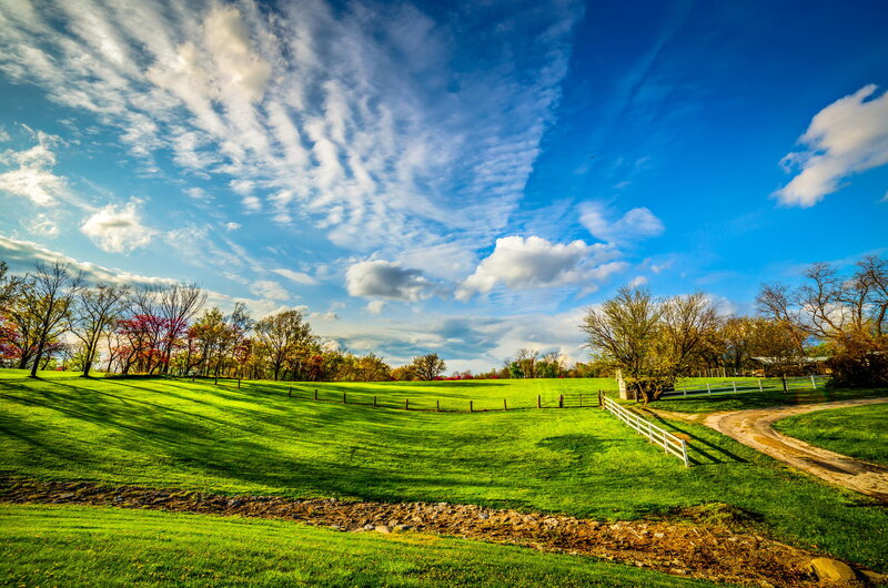 Green Field with Fence — Serene, Afternoon, Photograph